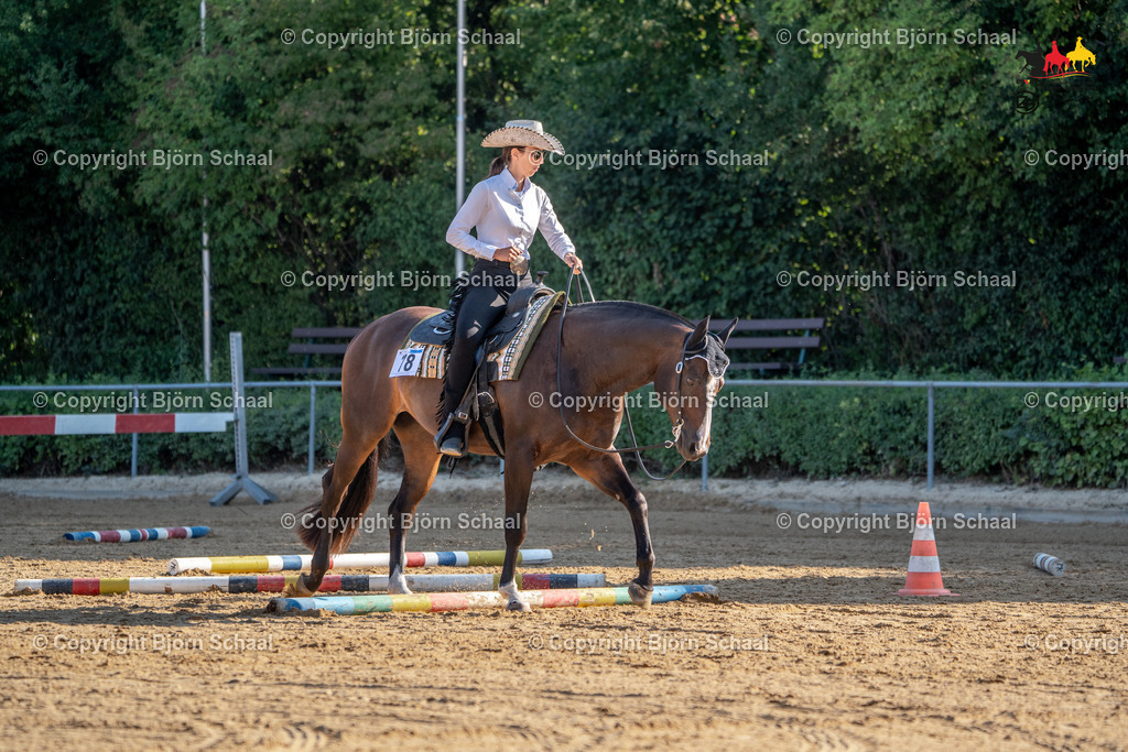 LMS04784 | BS-foto