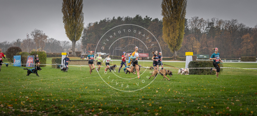 CaniXpix_DV3A8850 | Hundefotografie, Tierfotograf, Pfotenfotografie, Fotoshooting Hund, Hunde Portrait, Hundesport, Hundeportraits, Heideshooting, Hunde, Sportfotograf, Hundefotograf, Turnierhundsport, THS,  - Realisiert mit Pictrs.com