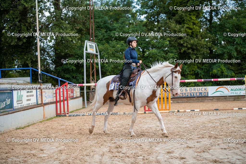 ZS3_9313 | dv-media-shop - Realisiert mit Pictrs.com