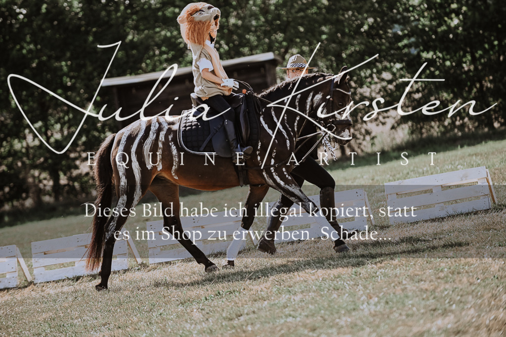 DSC_9156 | Pferde- und Turnierfotografie in Westsachsen. Pferdeportraits, Auftragszeichnungen und intuitive Kunst.