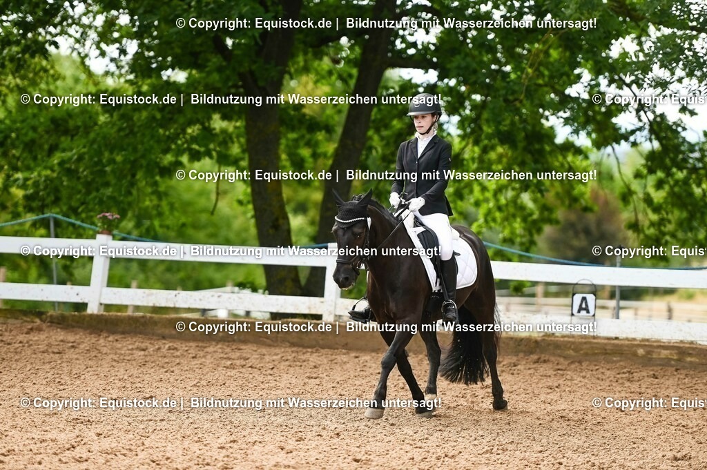 20230716_04_Dressurreiterprüfung Kl.A_0313 | equistock