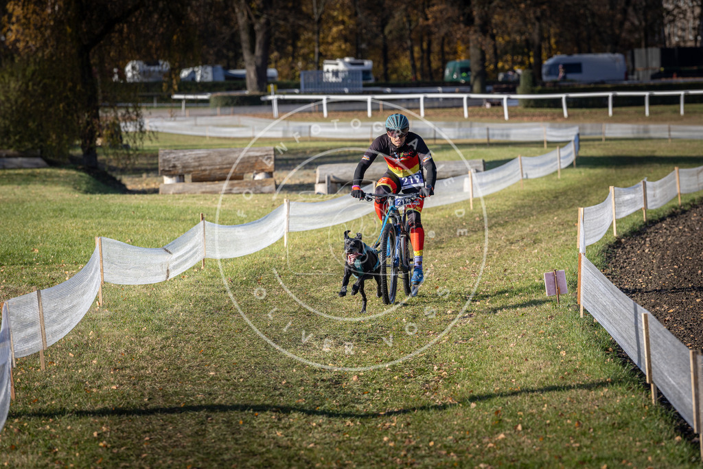 CaniXpix_DV3A3368 | Hundefotografie, Tierfotograf, Pfotenfotografie, Fotoshooting Hund, Hunde Portrait, Hundesport, Hundeportraits, Heideshooting, Hunde, Sportfotograf, Hundefotograf, Turnierhundsport, THS,  - Realisiert mit Pictrs.com