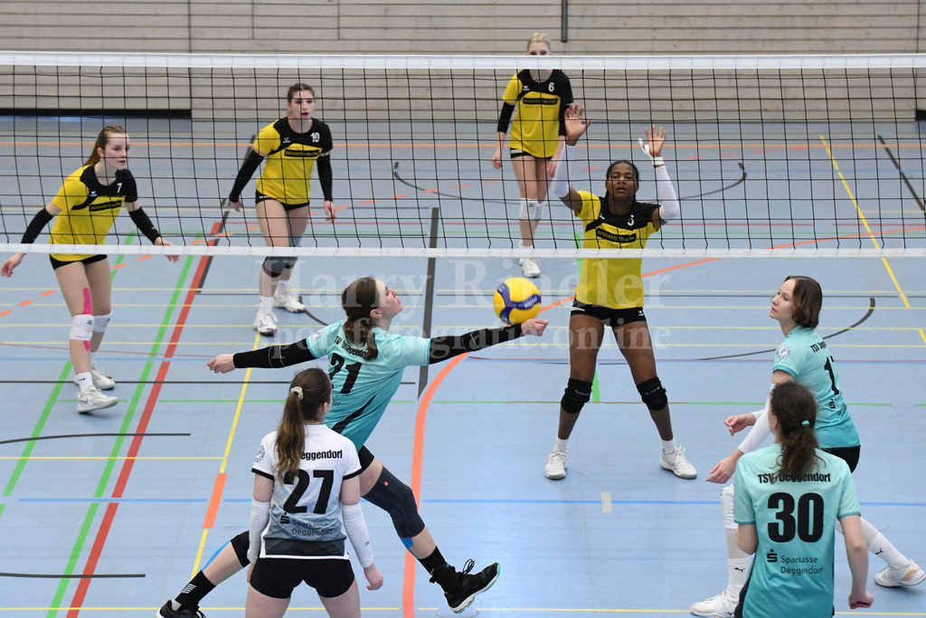TSV Deggendorf Damen  : FC Ruderting | TSV Deggendorf Damen Volleyball - Realisiert mit Pictrs.com