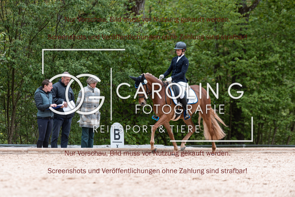DSC_6959 | Turnierfotografin Carolin Gieschke,Reitsport Turnierfotografie Carolin G Fotografie | Turnierfotos aus Kirchheim/Teck, Esslingen, Stuttgart und dem Bodenseekreis