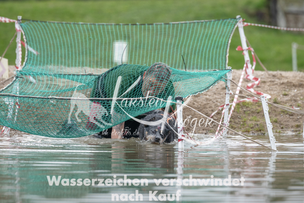 1506_ZZ93055 | kk-dogfotos