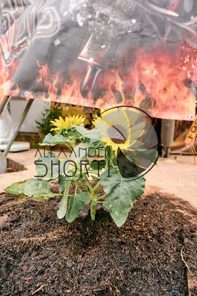 463_FoodRock_2023_19_AreaAmbiente | alexandershorti - Realisiert mit Pictrs.com