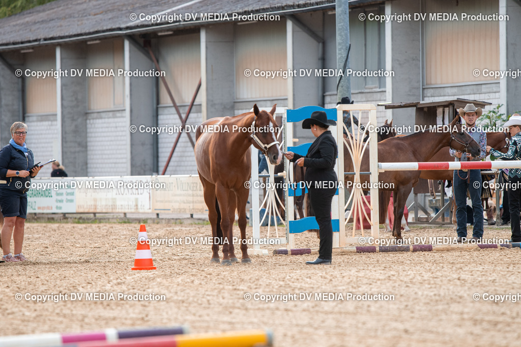 EWP_5504 | dv-media-shop - Realisiert mit Pictrs.com