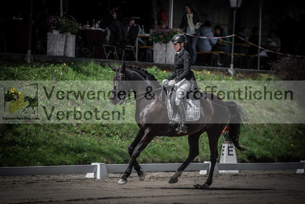 DSC_1732 | equestrian-live-com