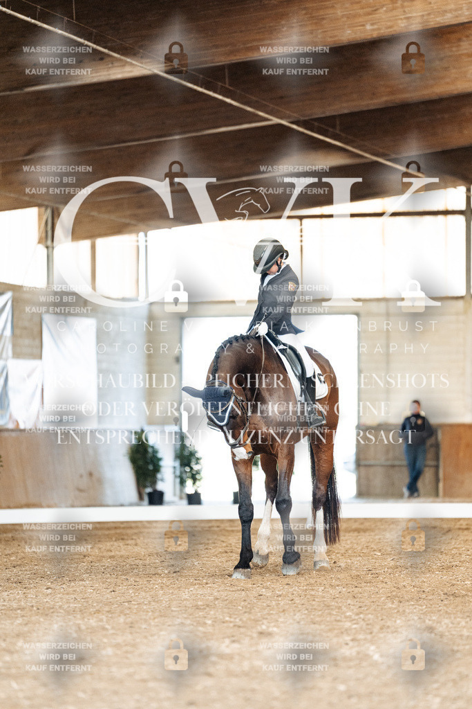 CK901229 | Turnierfotografie Pferdefotografie Trier Rheinland-Pfalz Pferdesport Reitsport Tierfotografie Sportfotografie Pferdevideo Pferdevideografie Equestrianvideography equestrianphotography  - Realisiert mit Pictrs.com