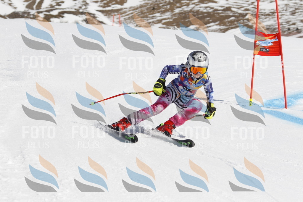 _U3G0022 | holidayphoto