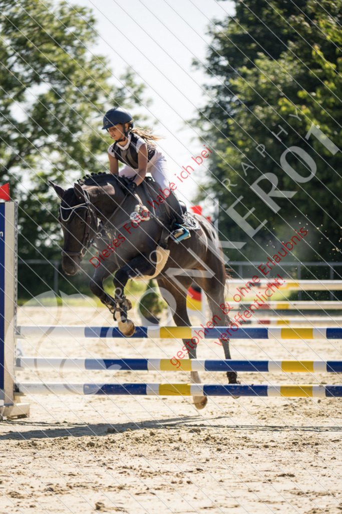 IMG_2986 | Sport-, Event- und Tierfotos in Profiqualität. Einfach auswählen, bestellen und herunterladen. Dein Moment – perfekt festgehalten.