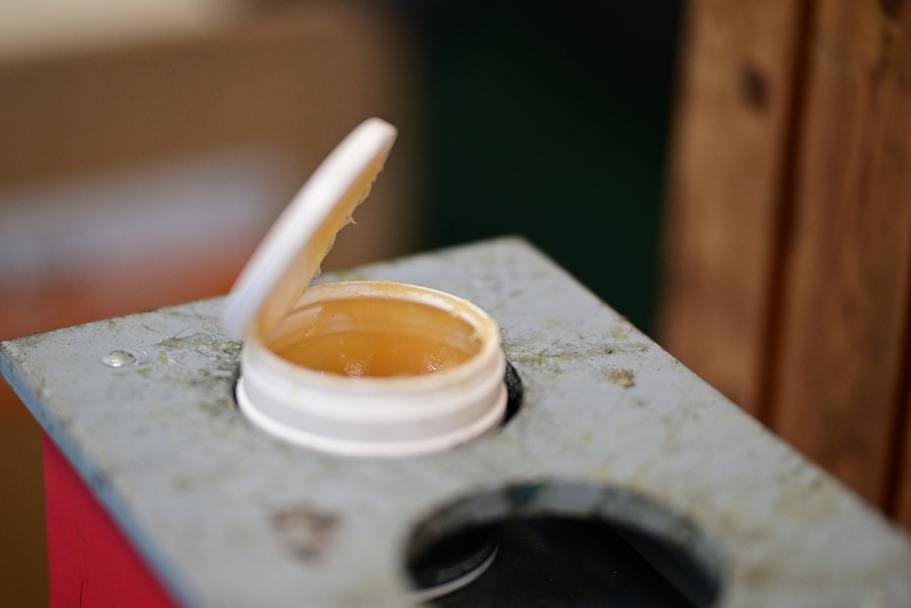 Handball I Frauen I Saison 2024-2025 I 1. HBF I 19. Spieltag I Buxtehuder SV - HSG Blomberg-Lippe I 24696 | Der Sportfotograf. - Realisiert mit Pictrs.com