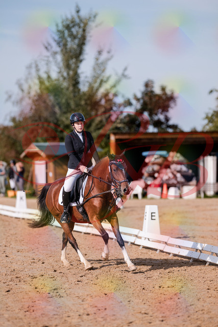 2026_10_03_Siefer-Hof_115752_Z81_99282070 | Professionelle Reitsport-, Turnier- und Eventfotografie von Robert Broda. Galerien mit ausgewählten und bearbeiteten Bildern direkt online ansehen und bestellen.