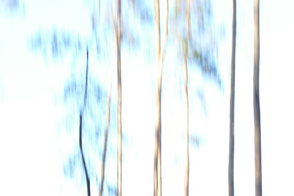 P4050557_a | Annaeherungen - Realisiert mit Pictrs.com