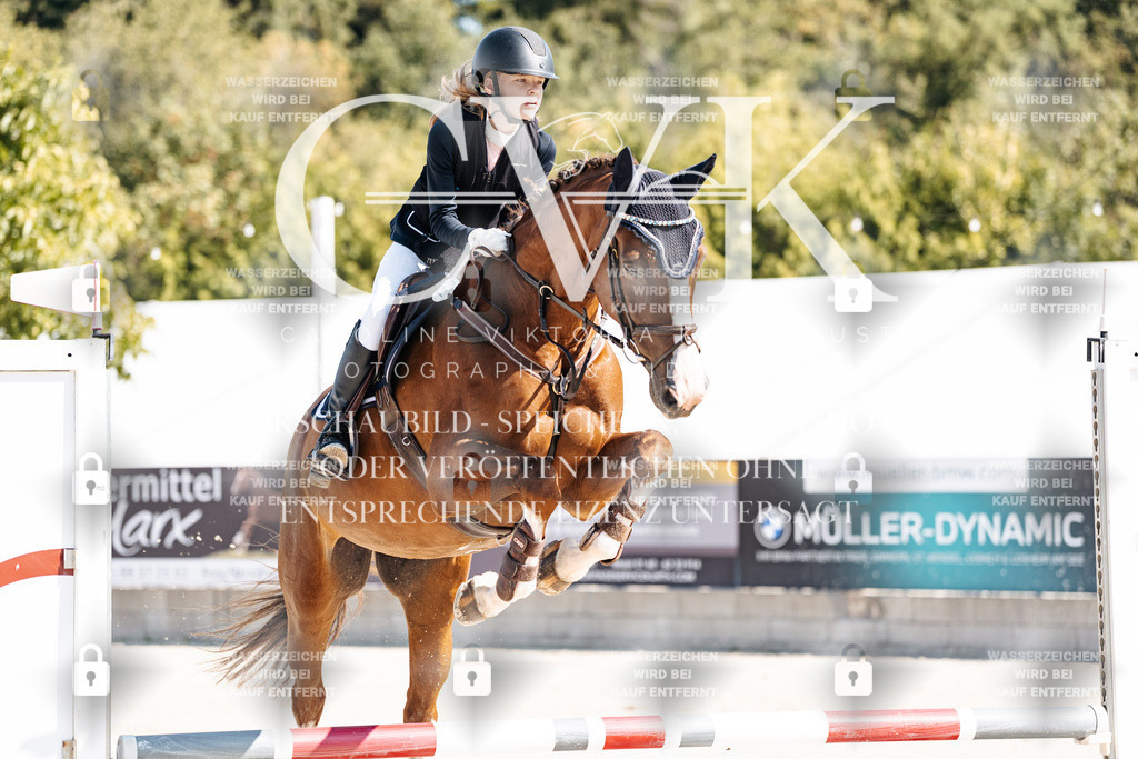 CK905207 | Turnierfotografie Pferdefotografie Trier Rheinland-Pfalz Pferdesport Reitsport Tierfotografie Sportfotografie Pferdevideo Pferdevideografie Equestrianvideography equestrianphotography  - Realisiert mit Pictrs.com