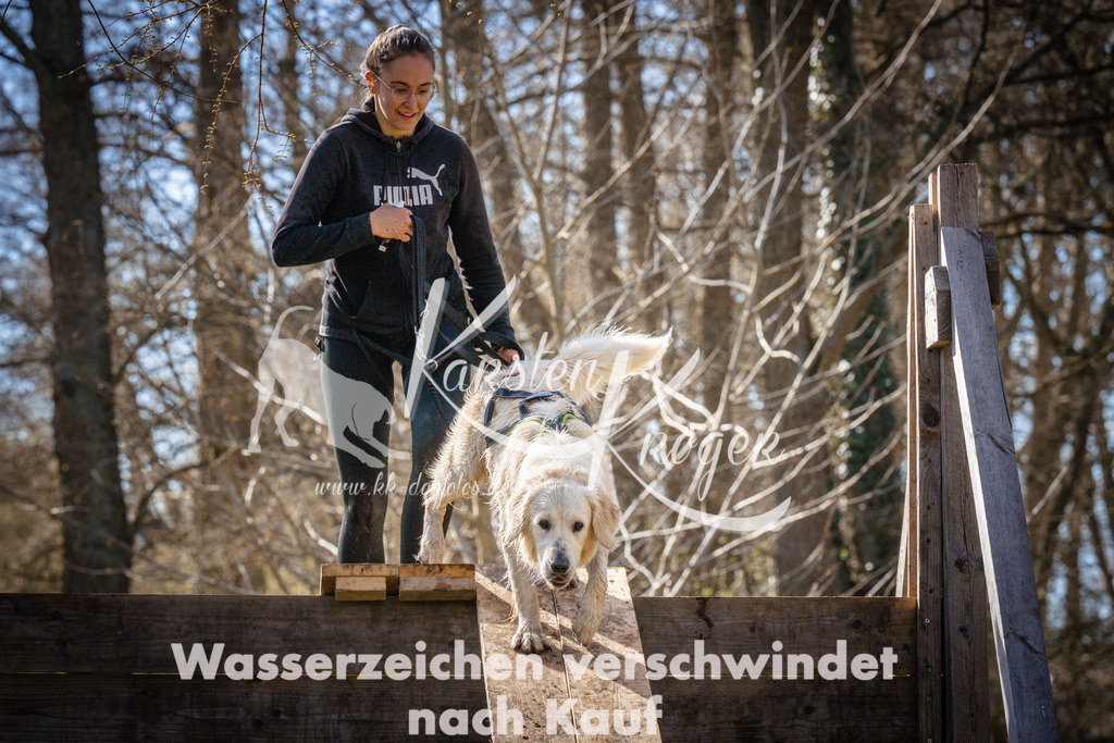 0923_ZZ95254 | kk-dogfotos