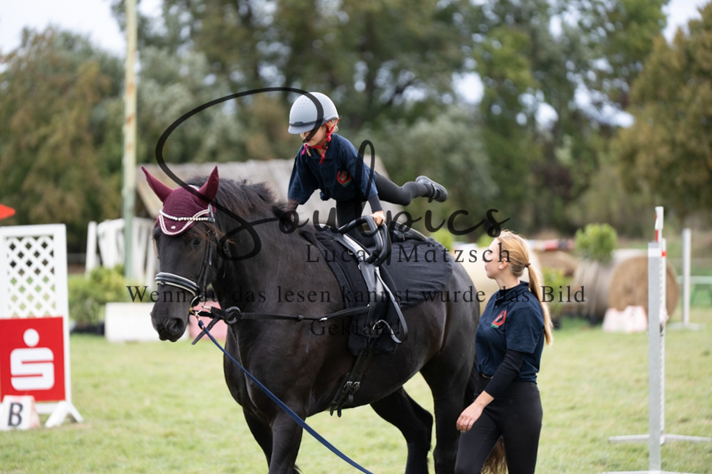 A7V07217 | Pferdefotograf