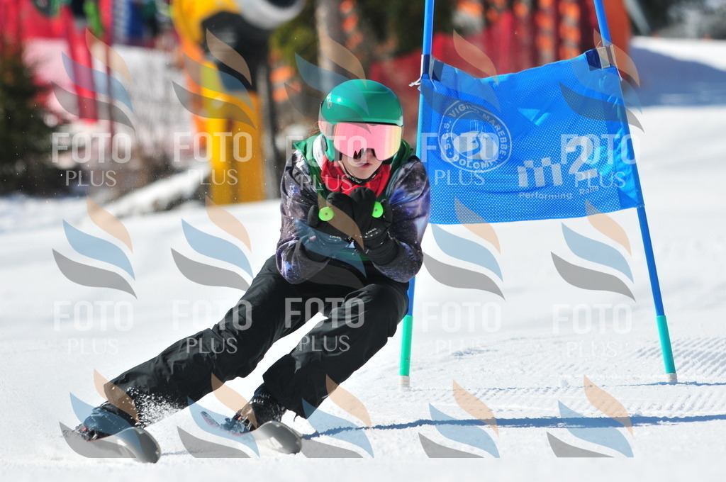 C4213 | holidayphoto