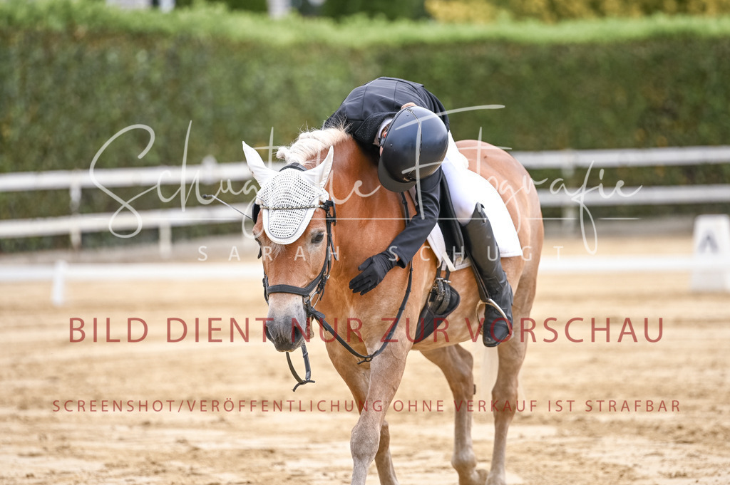 Schugtsche-Aluta25-42.EDressur -98 | Schugtsche Fotografie - Realisiert mit Pictrs.com