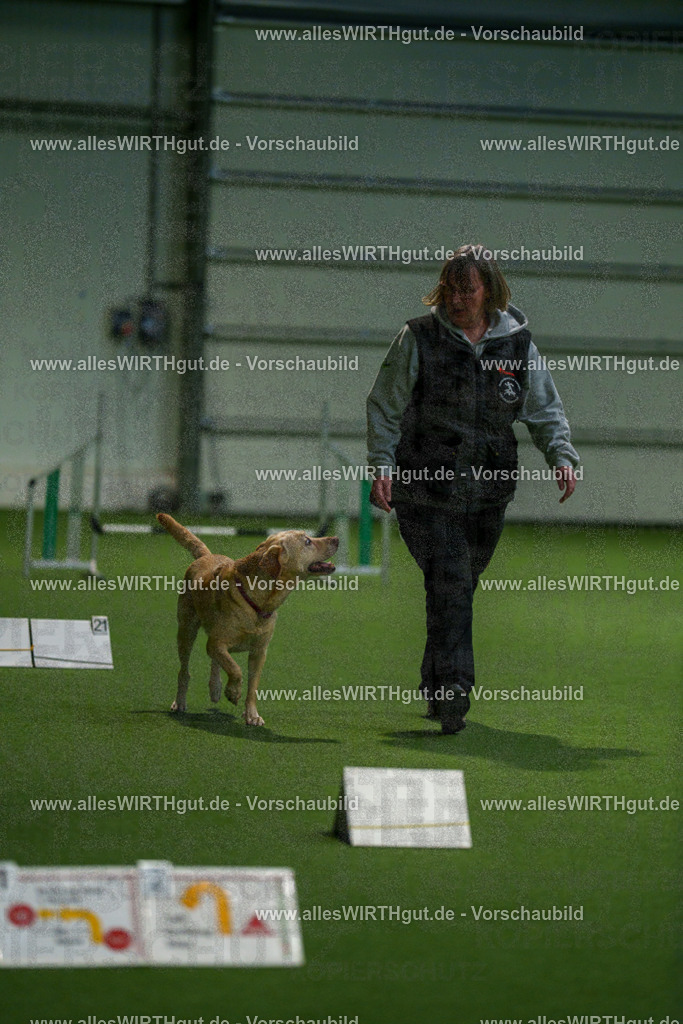 7R504667 | Professionelle Tierfotografie in Mönchengladbach von Daniel Wirth (allesWIRTHgut). Liebevolle & natürliche Bilder von Hunden & Katzen für unvergessliche Erinnerungen.