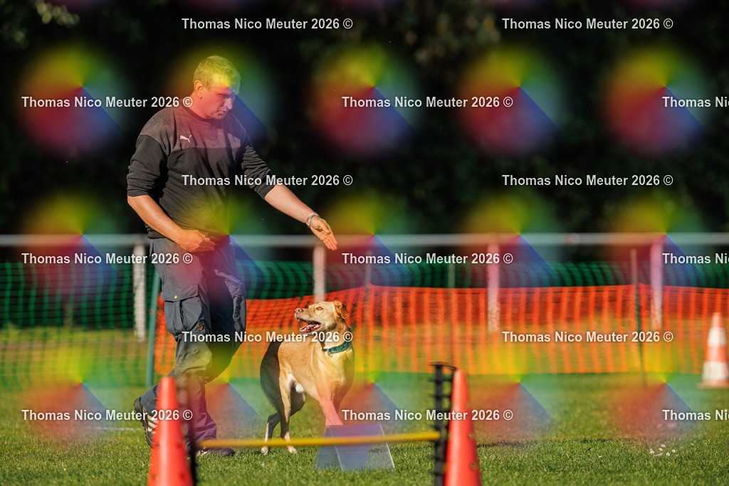 Thomas_Nico_Meuter(C)_04. Oktober 2026_223A4101 | Bild von Thomas Nico Meuter - Realisiert mit Pictrs.com