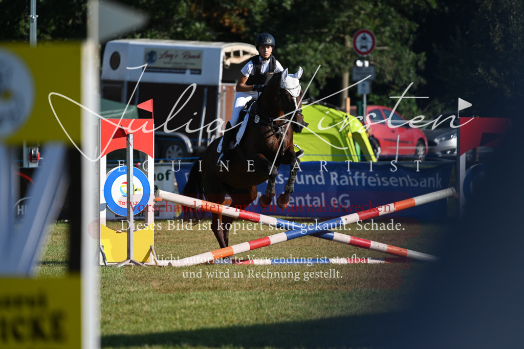 DSC_4927 | Pferde- und Turnierfotografie in Westsachsen. Pferdeportraits, Auftragszeichnungen und intuitive Kunst.