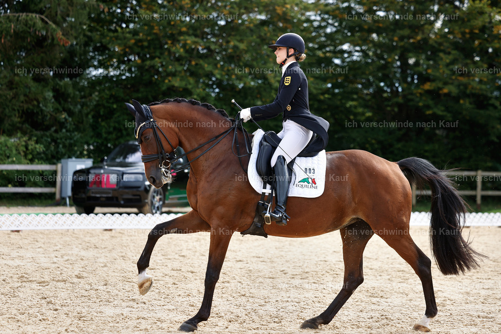 11-003-Dressur S___-StoibPH-1074 | working equitationturnier fotograf videograf stoibphotography marixx film working equitation deutschland reitsport turnierfotografie eventfotografie equestrian events