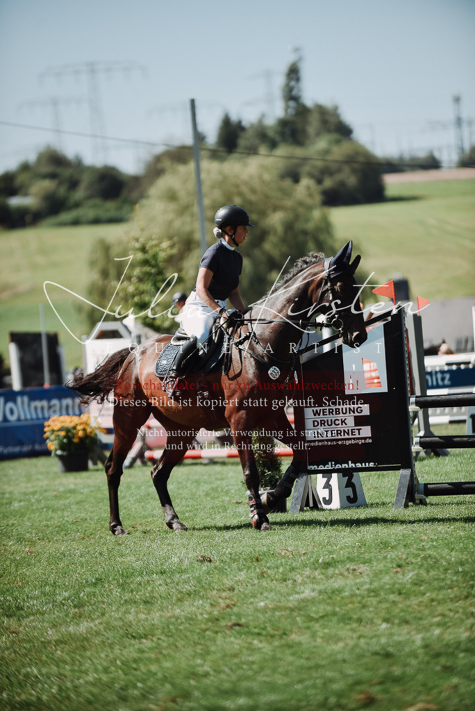DSC_3266 | Pferde- und Turnierfotografie in Westsachsen. Pferdeportraits, Auftragszeichnungen und intuitive Kunst.