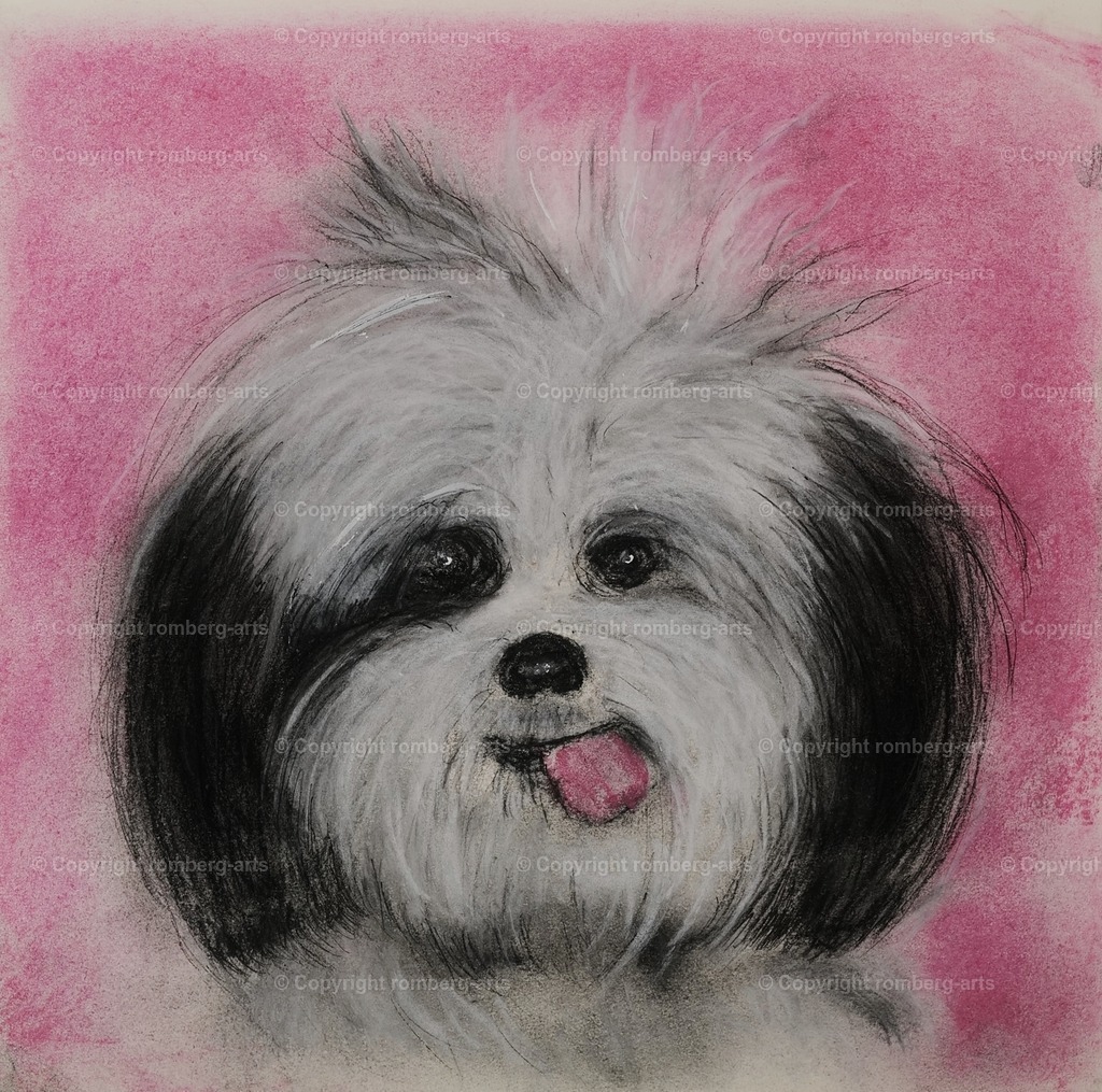 L1020078 (2) | romberg-arts, romberg-arts.de, www.romberg-arts.de, Foto_Online_Shop, Julia Fuhrmann, Köln, Fotos, Fotografie, Fotokunst, Kunstdrucke, Naturfotos, Aktfotos, Nacktfotos, schwarz_weiß_Fotos, Blumenfotos, Blumen, Tiere, Beton, Korrosion, Lächeln, Drucke