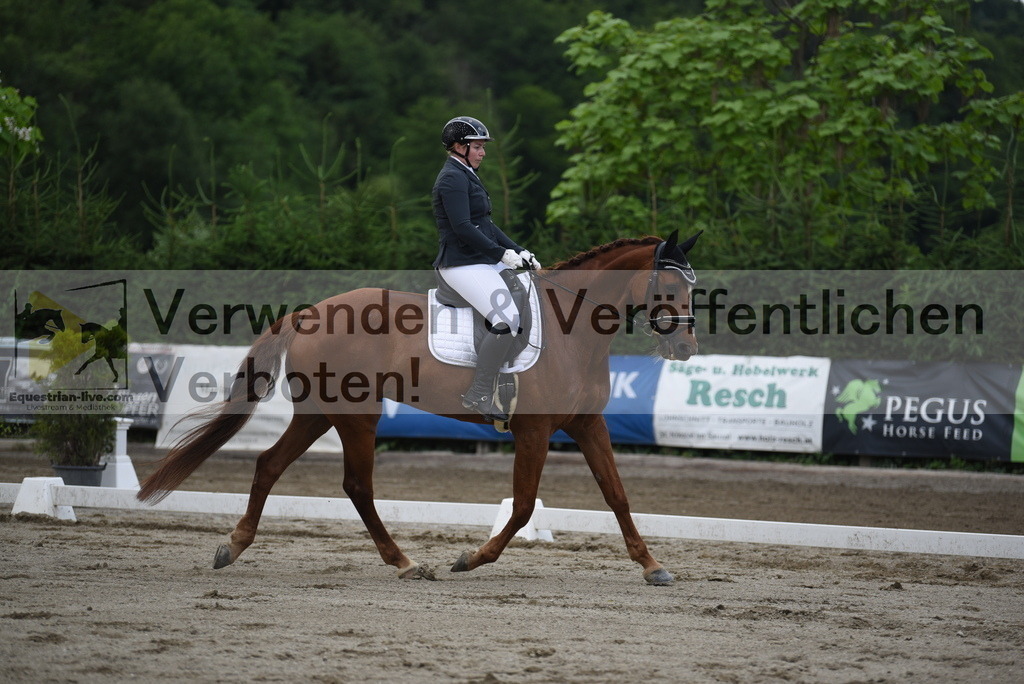 DSC_6406 | equestrian-live-com