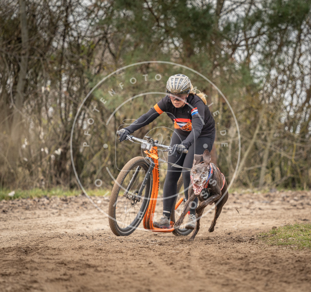 Pfotenfotografie_DV3A9333 | Hundefotografie, Tierfotograf, Pfotenfotografie, Fotoshooting Hund, Hunde Portrait, Hundesport, Hundeportraits, Heideshooting, Hunde, Sportfotograf, Hundefotograf, Turnierhundsport, THS,  - Realisiert mit Pictrs.com