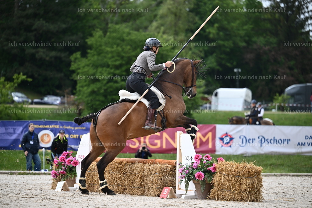 PI26_SP_Sara_Landvogt_226_4422.JPG | working equitationturnier fotograf videograf stoibphotography marixx film working equitation deutschland reitsport turnierfotografie eventfotografie equestrian events