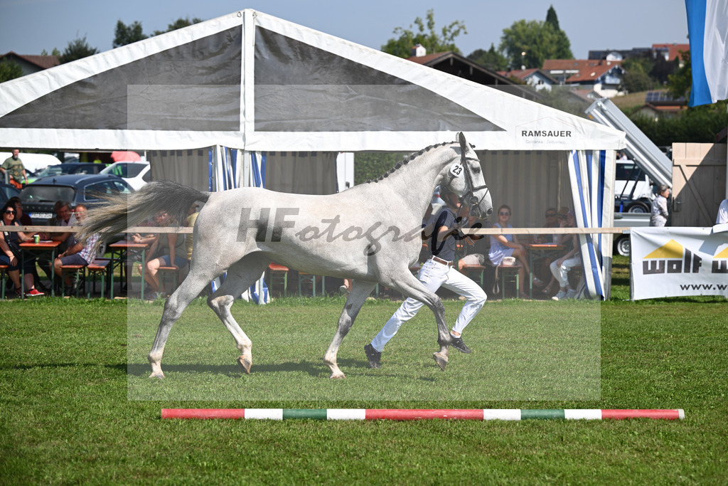 Kat-Nr. 23 nn v. Vingino_Schreder_34240537 | hf-fotografie - Realisiert mit Pictrs.com