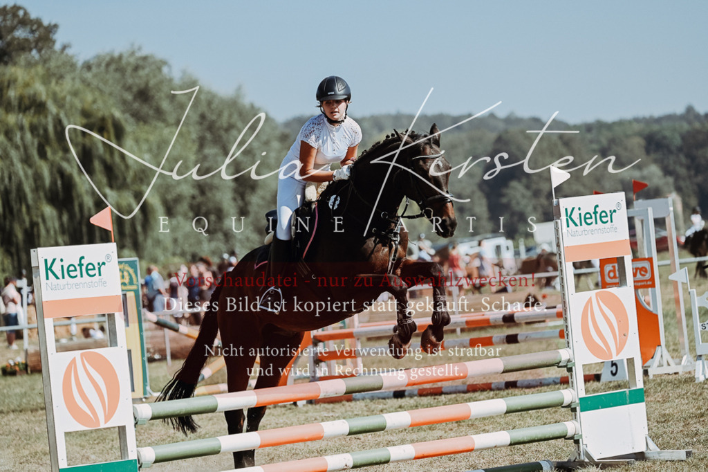 DSC_9544 | Pferde- und Turnierfotografie in Westsachsen. Pferdeportraits, Auftragszeichnungen und intuitive Kunst.
