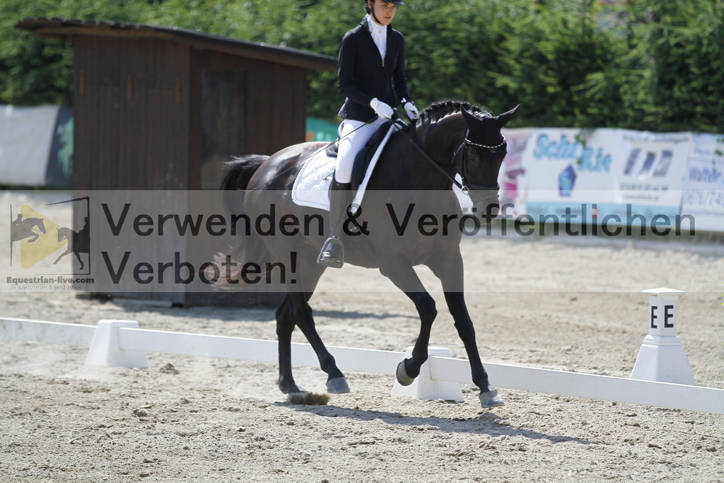 _MG_2013 | equestrian-live-com