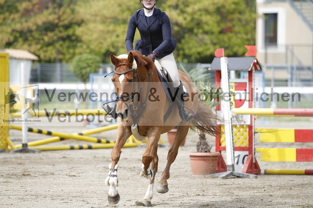 _MG_1691 | equestrian-live-com