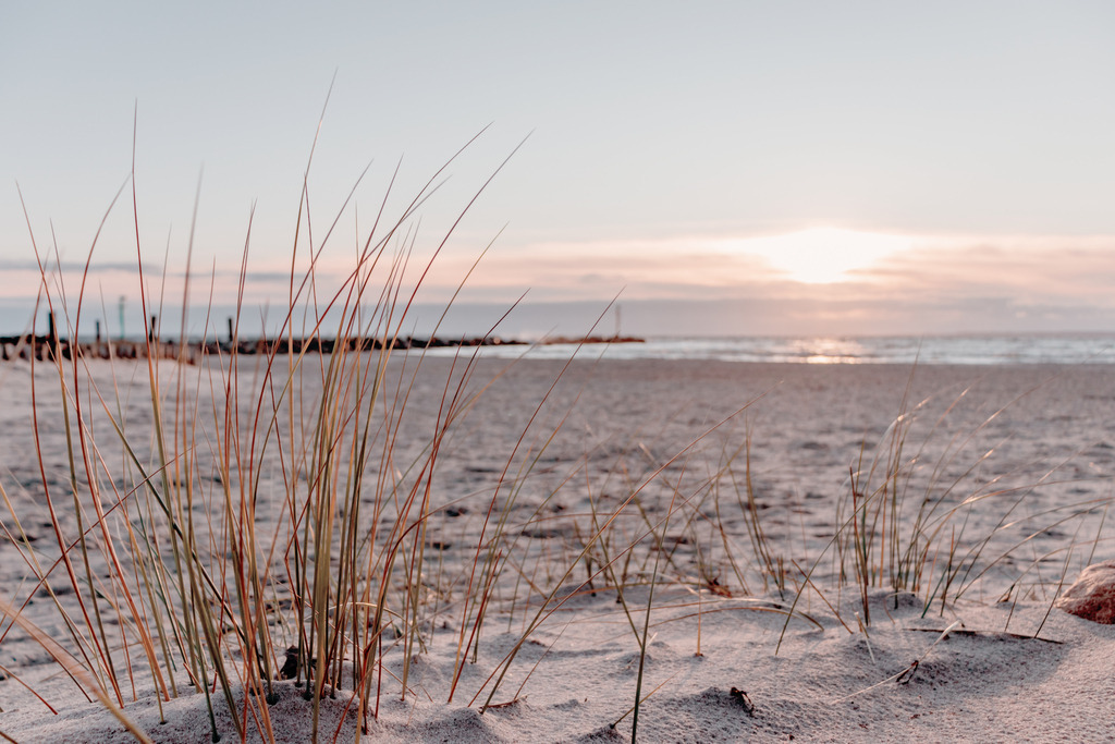 Wandbild: Strandhafer am Strand in dezenten Farben | Das Wandbild im Querformat zeigt einen schönen Sandstrand am Morgen. Das Licht am Strand ist durch den Sonnenaufgang noch dezent rötlich. Im Vordergrund stehen einige Halme Strandhafer. Die Sonne ist hinter einer leichten Bewölkung am Himmel gut über dem Meer zu erkennen. Holen Sie sich mit diesem dekorativen Wandbild den Strandurlaub für das ganze Jahr nach Hause oder an den Arbeitsplatz. Es ist auf Leinwand, auf Aluminium-Platte, Acrylglas oder als Holzdruck erhältlich. Dabei wird es individuell für Sie in vielen Abmessungen produziert. Daher passen die Ostseekult Wandbilder immer perfekt an Ihre Wände. - Realisiert mit Pictrs.com