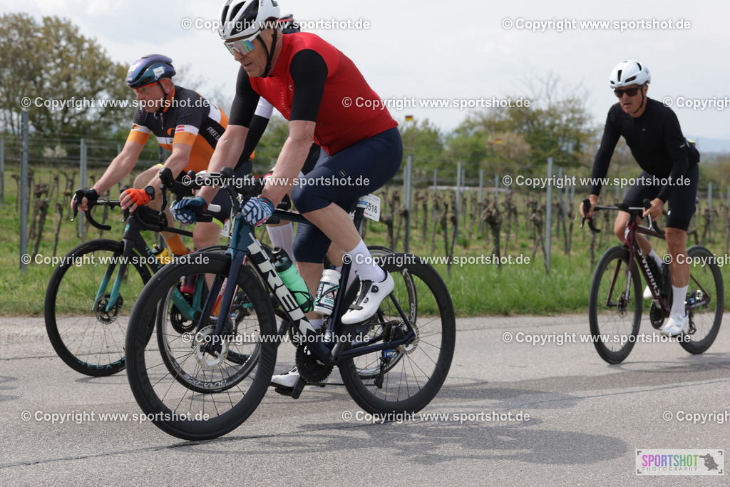 368A5012 | Neusiedlersee Radmarathon 2026@sportshot_your_pictrs #yourpictures#roadtowm2029 #nrm #neusiedlerseeradmarathon #neusiedlersee #neusiedlerseetourismus #burgenland #mörbisch #nrm26 #burgenlandtourismus #voglundco #poweredbyburgenlandtourismus #radsport #rad #marathon #ucigranfondo #visitburgenland #ucigranfondoworldseries