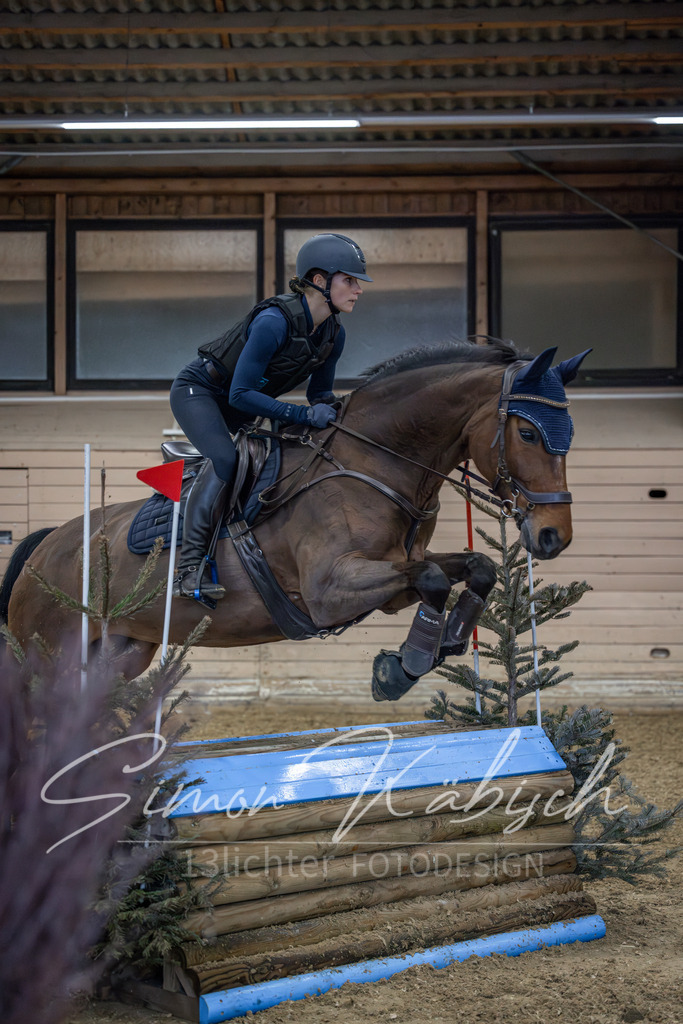 20260222-_3LI2326 | Tierfotografie Pferde, Hunde, Katzen, Haustiere.
Turnierfotografie Reitturniere, Reiten, Springreiten, Dressur in Hanau, dem Main-Kinzig-Kreis und dem Rhein-Main- Gebiet um Frankfurt