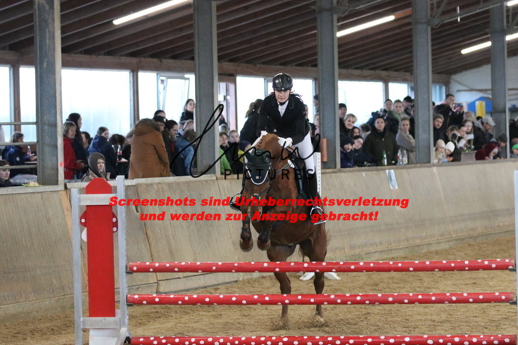 IMG_5251 | lmwpictures - Realisiert mit Pictrs.com