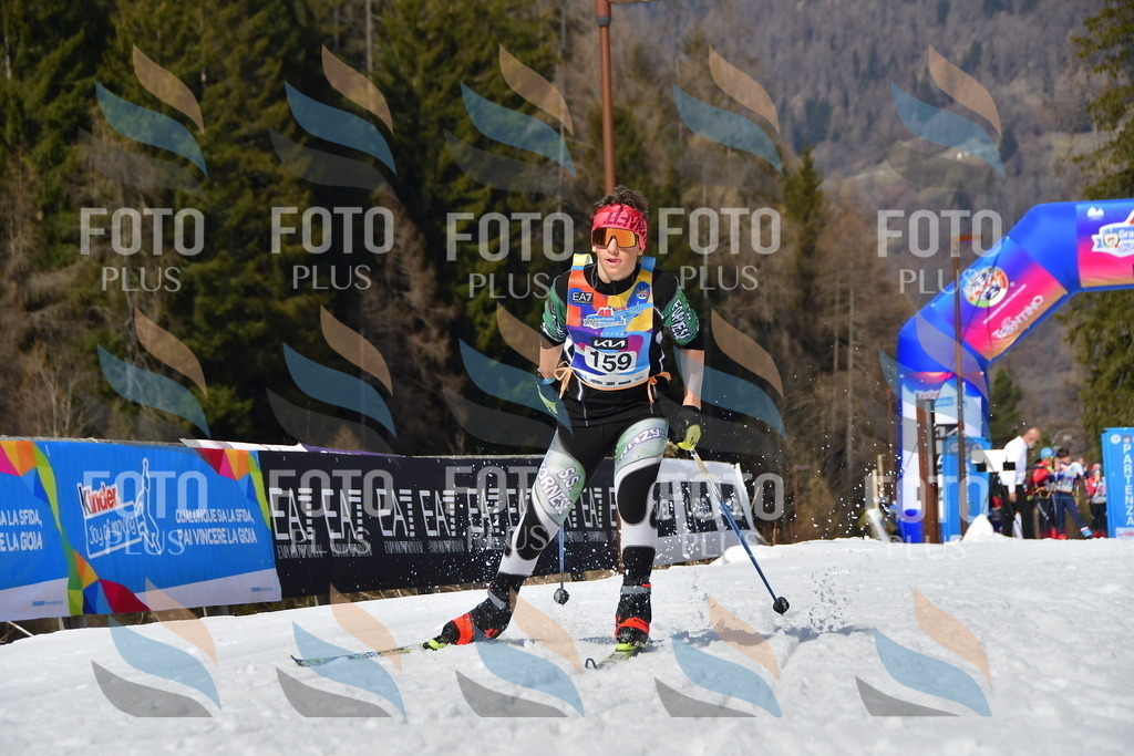 _DSC0392 | holidayphoto