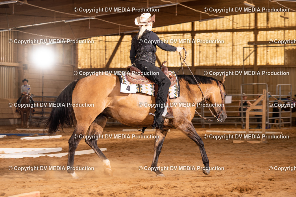 NID00597 | dv-media-shop - Realisiert mit Pictrs.com