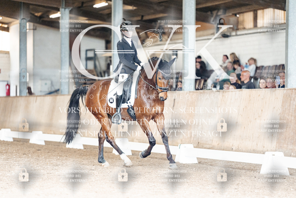 CK902002 | Turnierfotografie Pferdefotografie Trier Rheinland-Pfalz Pferdesport Reitsport Tierfotografie Sportfotografie Pferdevideo Pferdevideografie Equestrianvideography equestrianphotography  - Realisiert mit Pictrs.com
