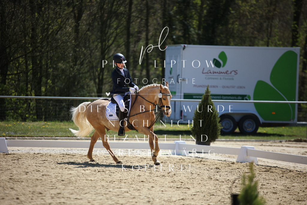 IMGT1089 | pl-fotografie