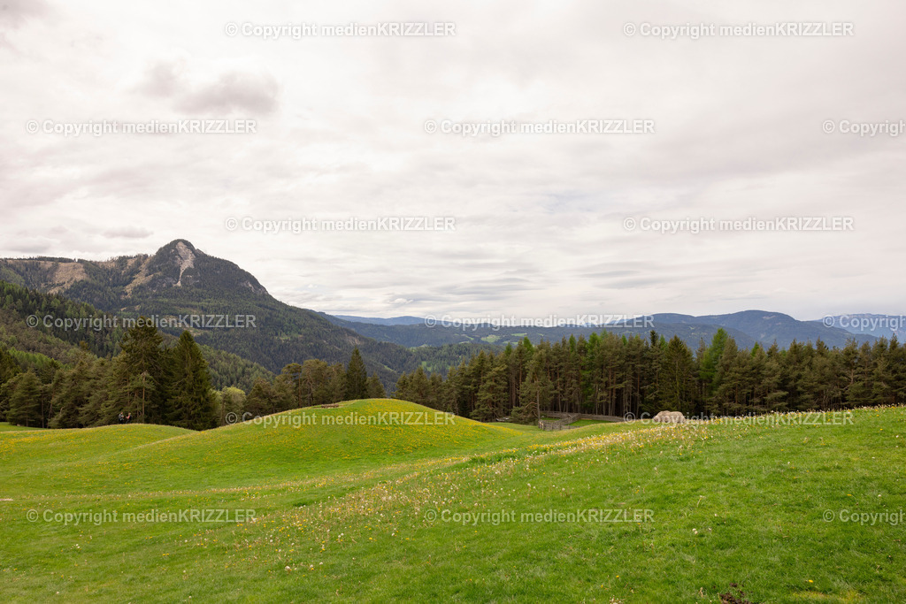 Tuff Alm | medienkrizzler - Realisiert mit Pictrs.com