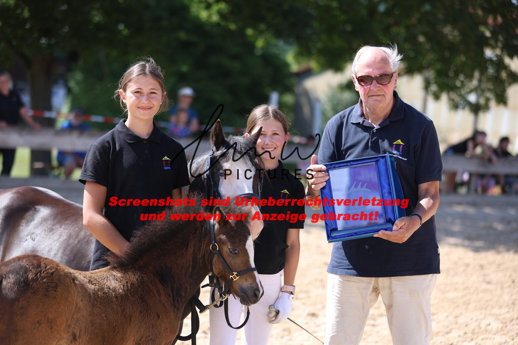 Fohlenschau_Schwäbisch_Hall_IMPRESSIONEN_22 | lmwpictures - Realisiert mit Pictrs.com