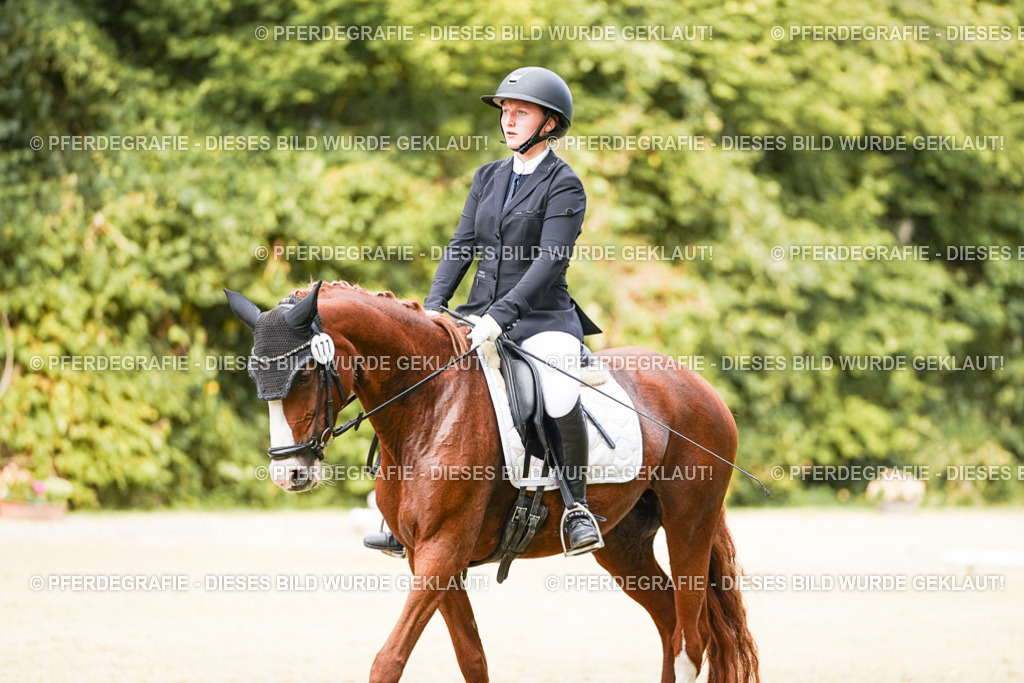 DSC03724 | Pferdegrafie