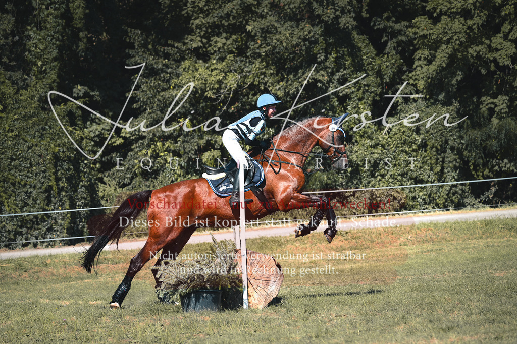 DSC_8062 | Pferde- und Turnierfotografie in Westsachsen. Pferdeportraits, Auftragszeichnungen und intuitive Kunst.