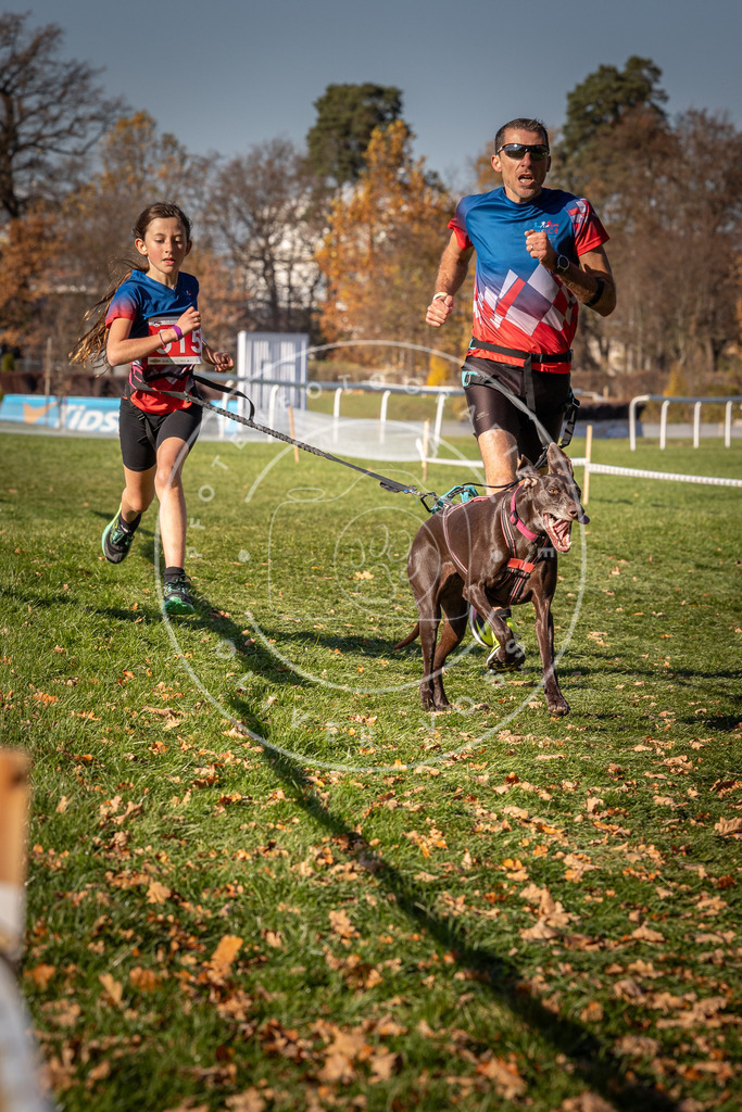 CaniXpix_0L8A6938 | Hundefotografie, Tierfotograf, Pfotenfotografie, Fotoshooting Hund, Hunde Portrait, Hundesport, Hundeportraits, Heideshooting, Hunde, Sportfotograf, Hundefotograf, Turnierhundsport, THS,  - Realisiert mit Pictrs.com