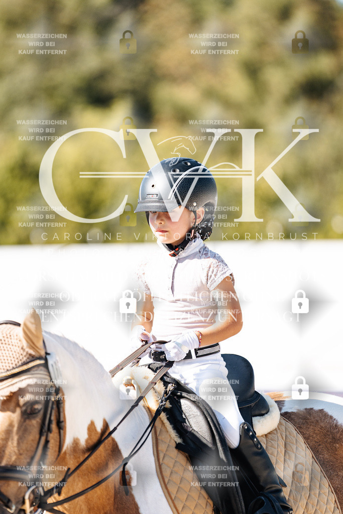 CK903351 | Turnierfotografie Pferdefotografie Trier Rheinland-Pfalz Pferdesport Reitsport Tierfotografie Sportfotografie Pferdevideo Pferdevideografie Equestrianvideography equestrianphotography  - Realisiert mit Pictrs.com